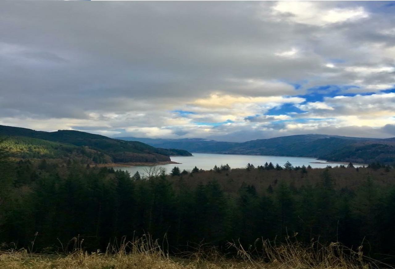 Packwood Ski & Vacation Getaway エクステリア 写真