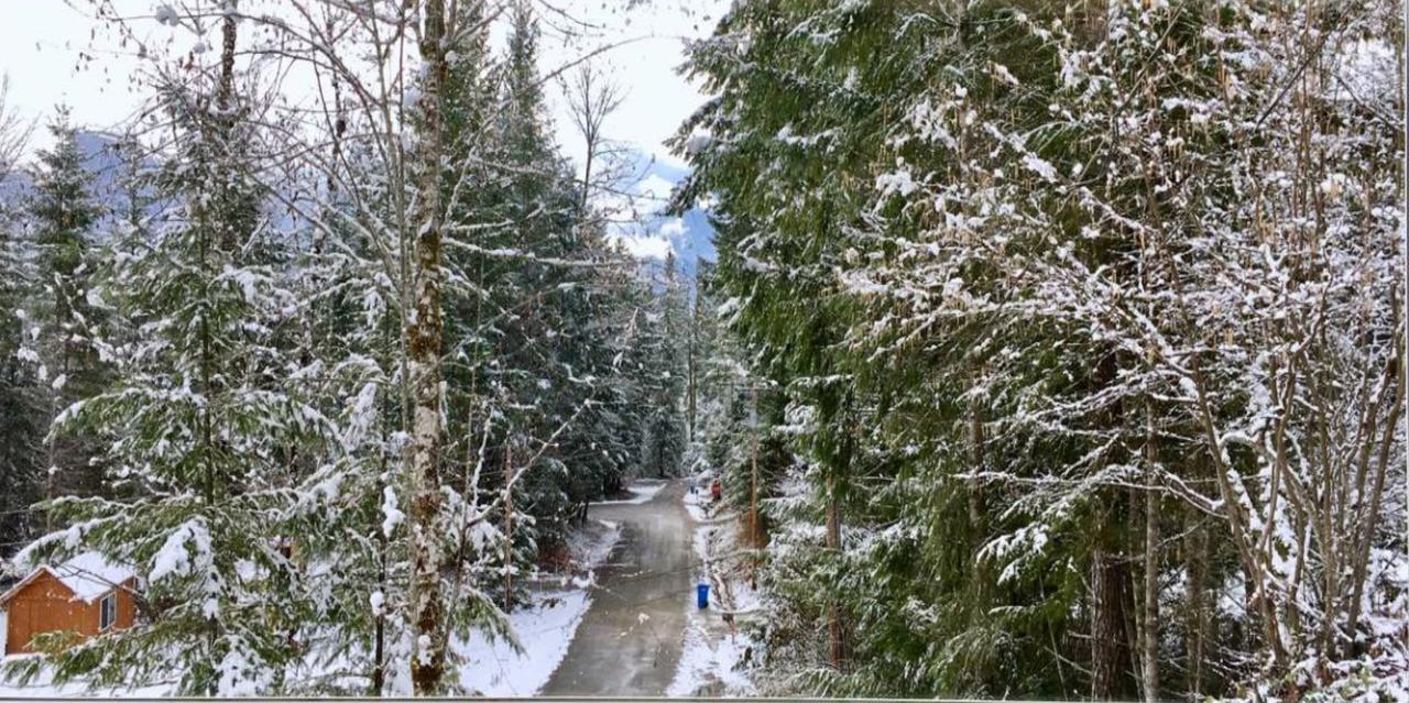 Packwood Ski & Vacation Getaway エクステリア 写真